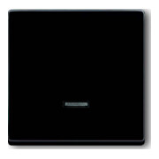 Busch-Jaeger Bedienelement Mem-Tast. 6543-81-101