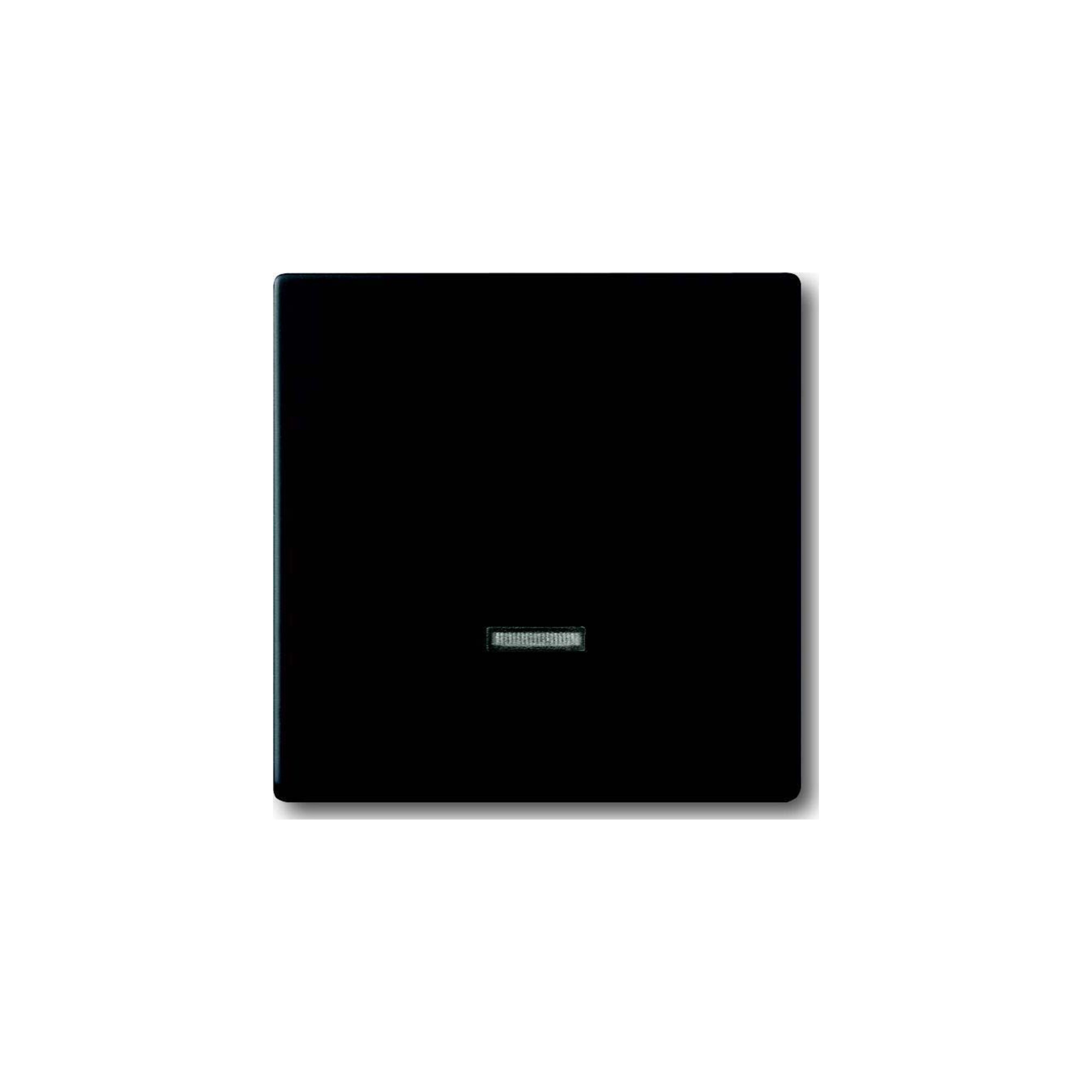 Busch-Jaeger Bedienelement Memory 6543-885-101