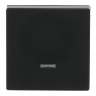 Busch-Jaeger Bedienelement Memory 6543-885-101