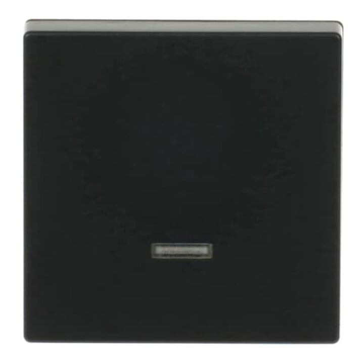 Busch-Jaeger Bedienelement Memory 6543-885-101