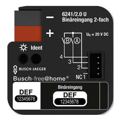 Busch-Jaeger Binäreingang 2-fach UP 6241/2.0 U