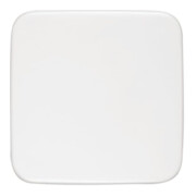 Busch-Jaeger Blindzentralscheibe aws 54x54mm 1576 C-214-1