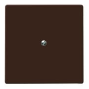 Busch-Jaeger Blindzentralscheibe br mit Tragring 2138-31-3