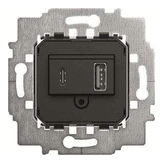 Busch-Jaeger Bloc d'alimentation USB A+C 6475 U