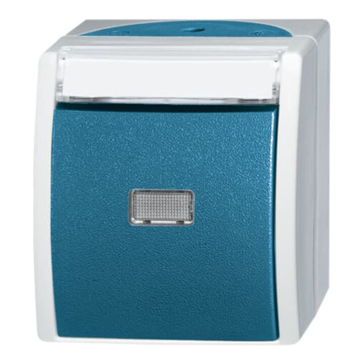 Busch-Jaeger Bouton-poussoir fermant 1 pôle AP 2621 WN-53-201