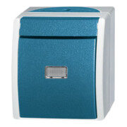 Busch-Jaeger Bouton-poussoir fermant selon ASV 2621 WGL-53-2