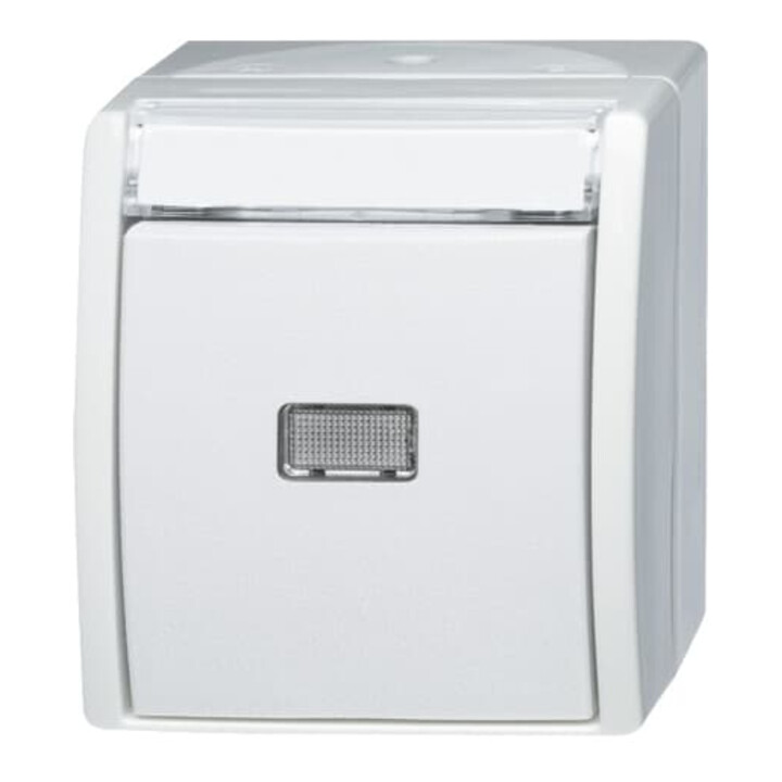 Busch-Jaeger Bouton-poussoir ferme-contact 1 pôle 2621 WN-54-201