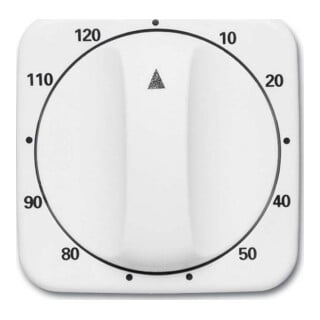 Busch-Jaeger Cache minuterie 120 min, blanc alpin 1771-214-103