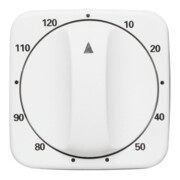 Busch-Jaeger Cache minuterie 120 min, blanc alpin 1771-214-103-3