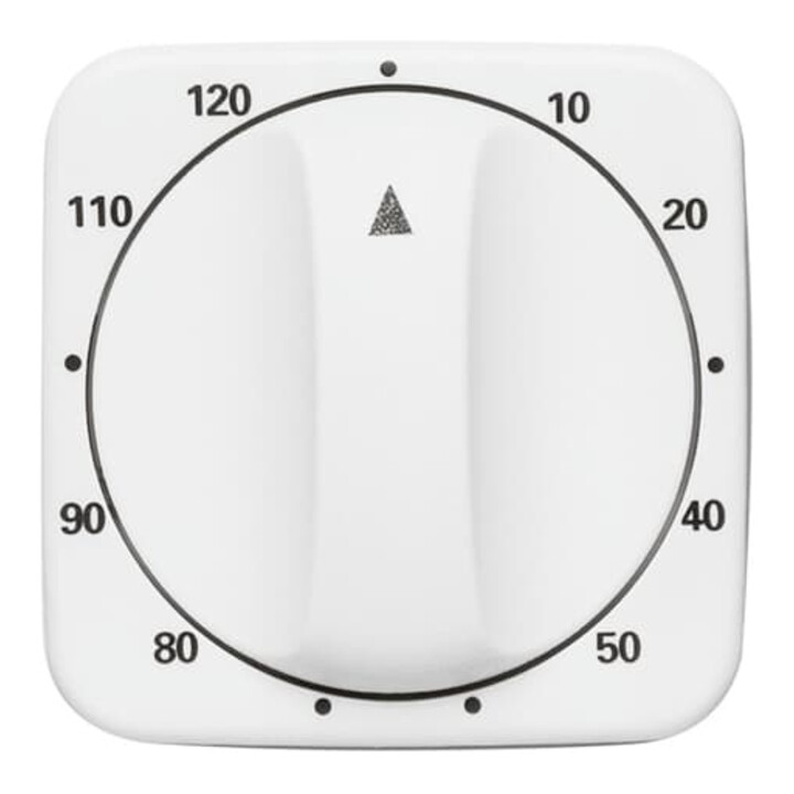 Busch-Jaeger Cache minuterie 120 min, blanc alpin 1771-214-103