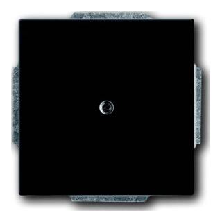 Busch-Jaeger Cache noir mat avec support pour sortie de câble 1749-885