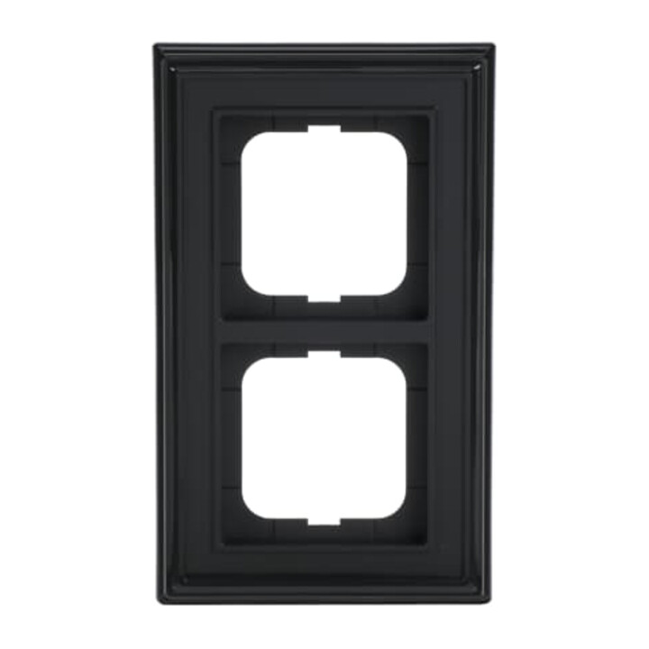Busch-Jaeger Cadre 2-fach anthracite 1722-831