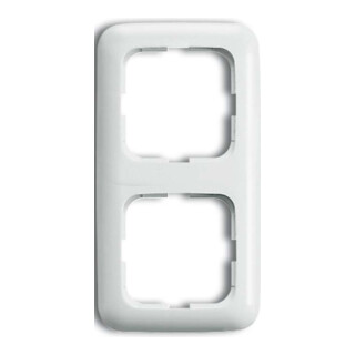 Busch-Jaeger Cadre 2-fach aws vertical + horizontal 2512-214