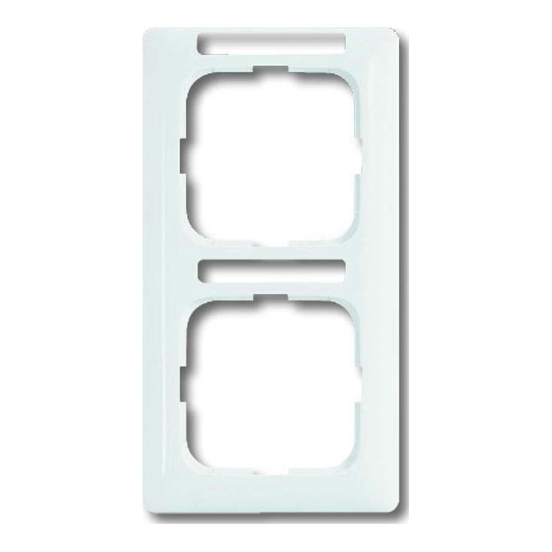 Busch-Jaeger Cadre 2-fach blanc alpin 1722 NSKA-214