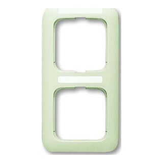 Busch-Jaeger Cadre 2-fach blanc, visuel vertical 1722 NS-212