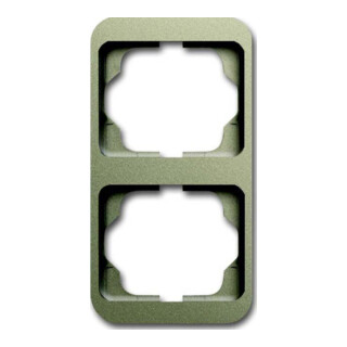 Busch-Jaeger Cadre 2-fach palladium, vertical 1732-260