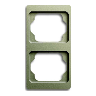 Busch-Jaeger Cadre 2-fach palladium, vertical 1732 KA-260