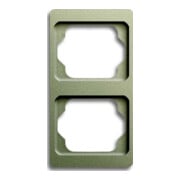 Busch-Jaeger Cadre 2-fach palladium, vertical 1732 KA-260-1