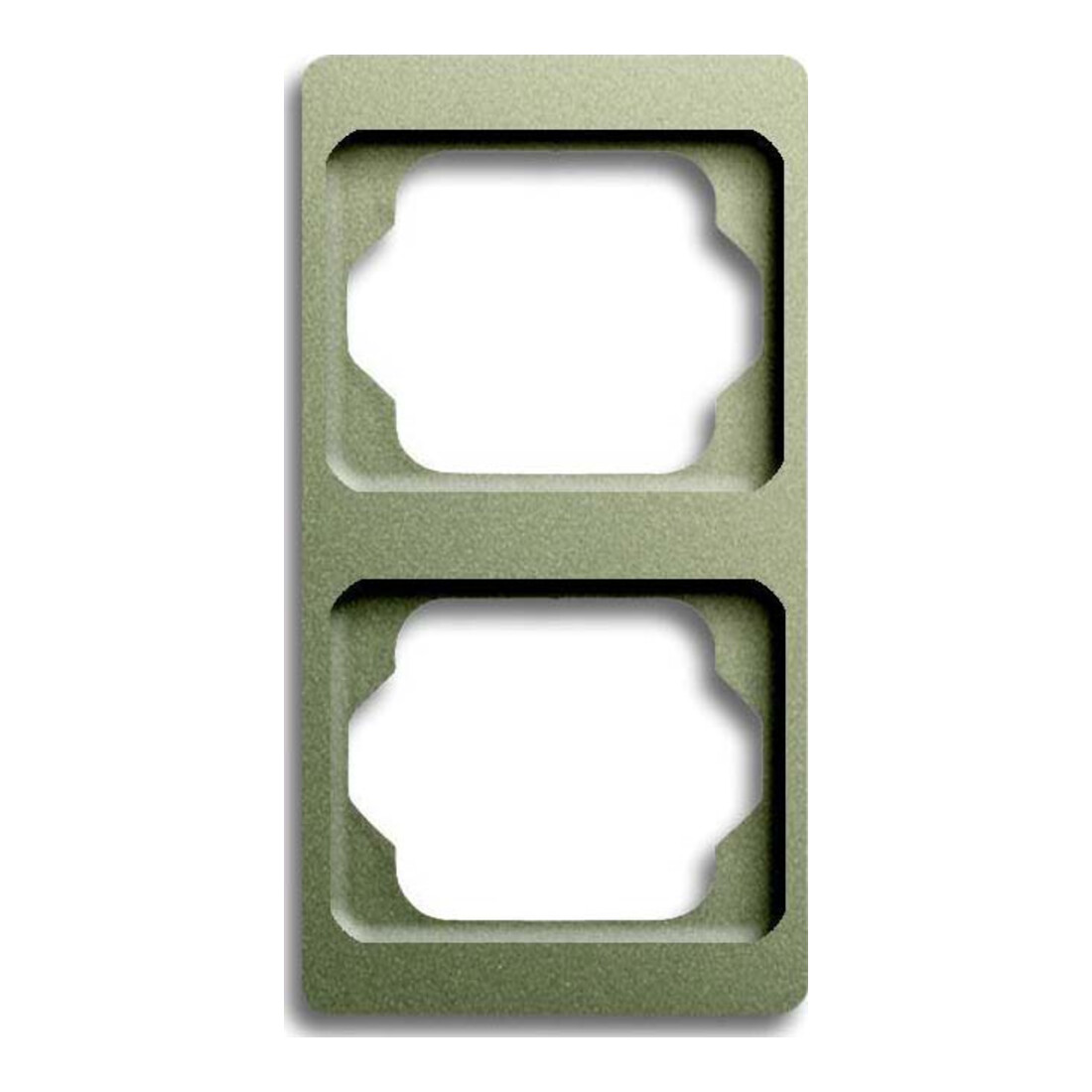 Busch-Jaeger Cadre 2-fach palladium, vertical 1732 KA-260