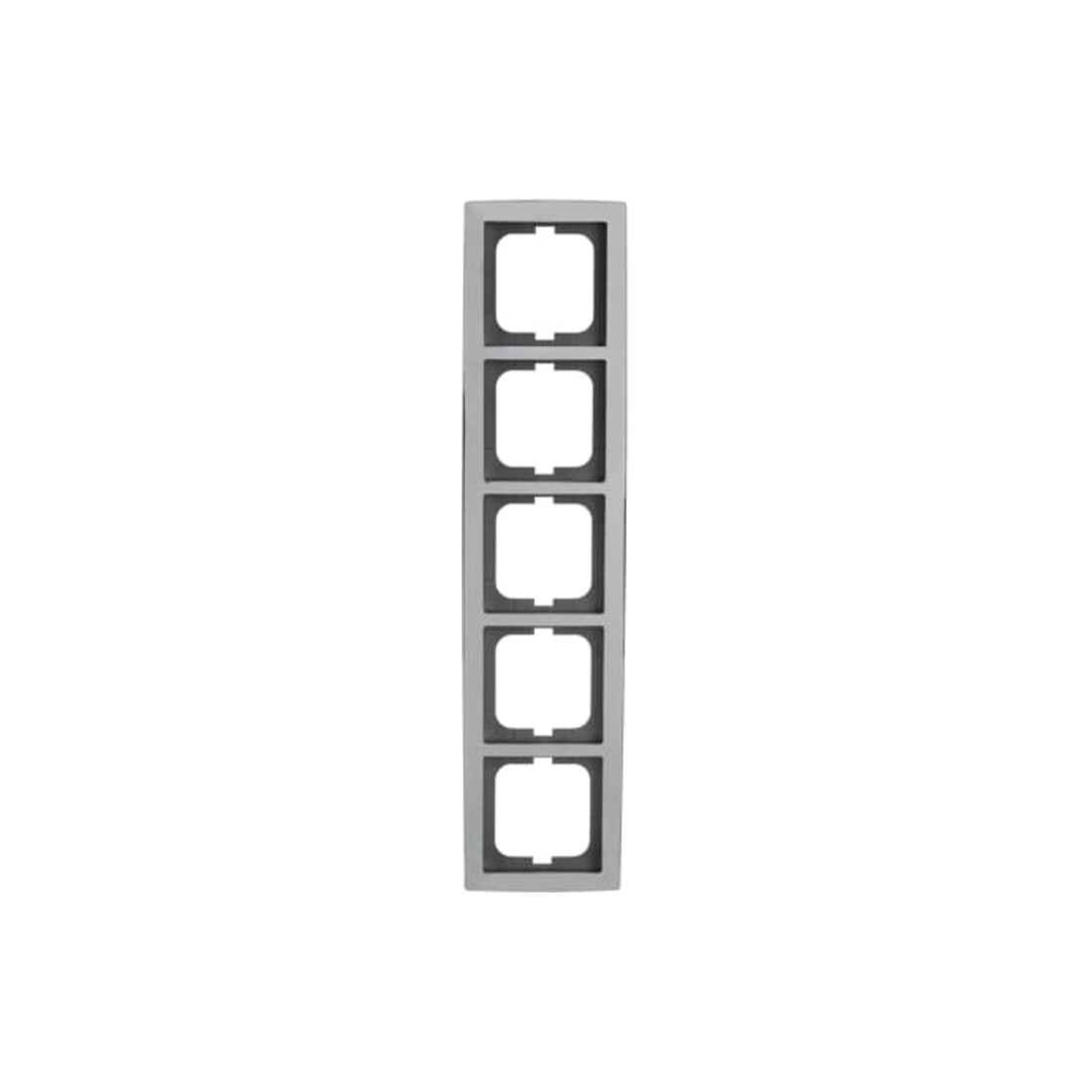 Busch-Jaeger Cadre 5-fach chrome brillant 1725-80G