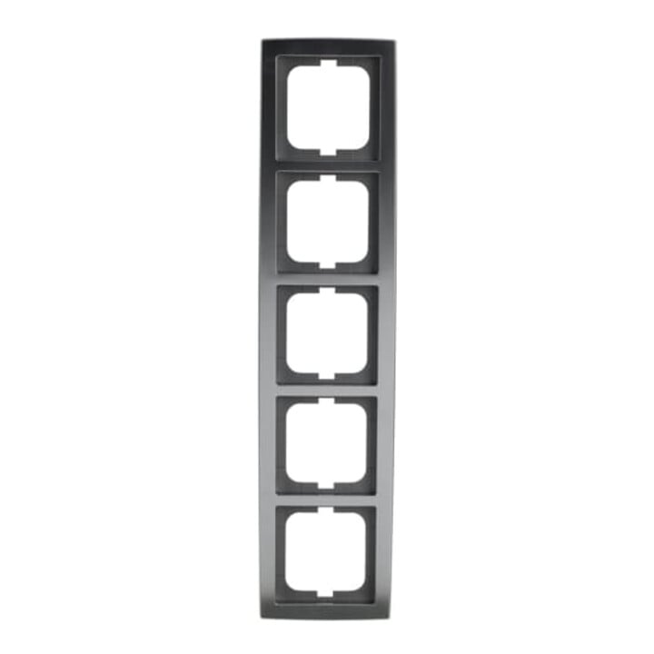 Busch-Jaeger Cadre 5-fach chrome mat 1725-80