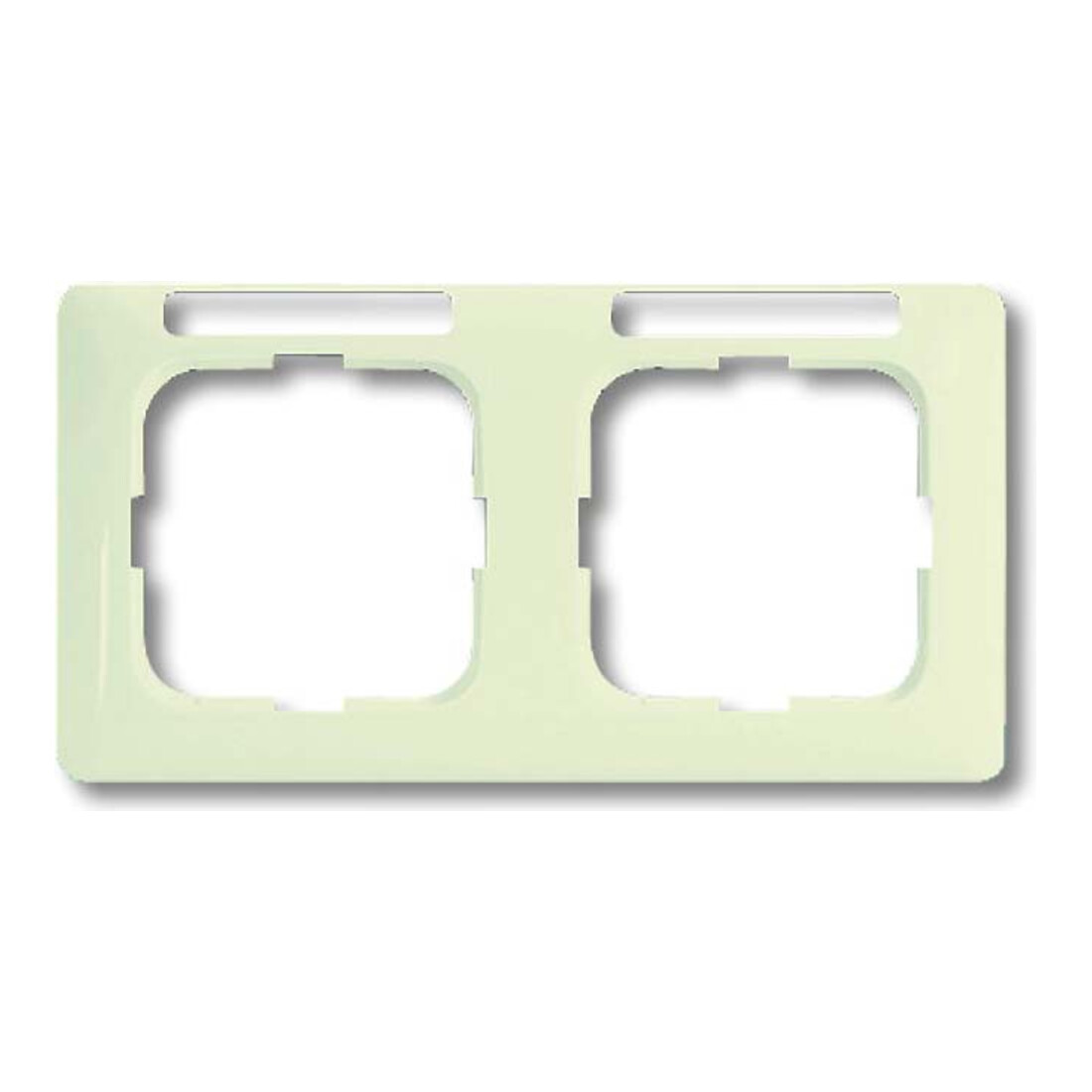 Busch-Jaeger Cadre double blanc, horizontal 1732 NSKA-212