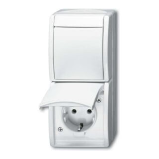 Busch-Jaeger Combinaison 2601/6/20 EW-54