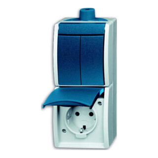 Busch-Jaeger Combinaison prise + interrupteur sélecteur 2601/5/20EW-53-503