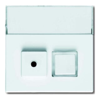 Busch-Jaeger Disque central sws avec champ d’inscription 1572 CN-84