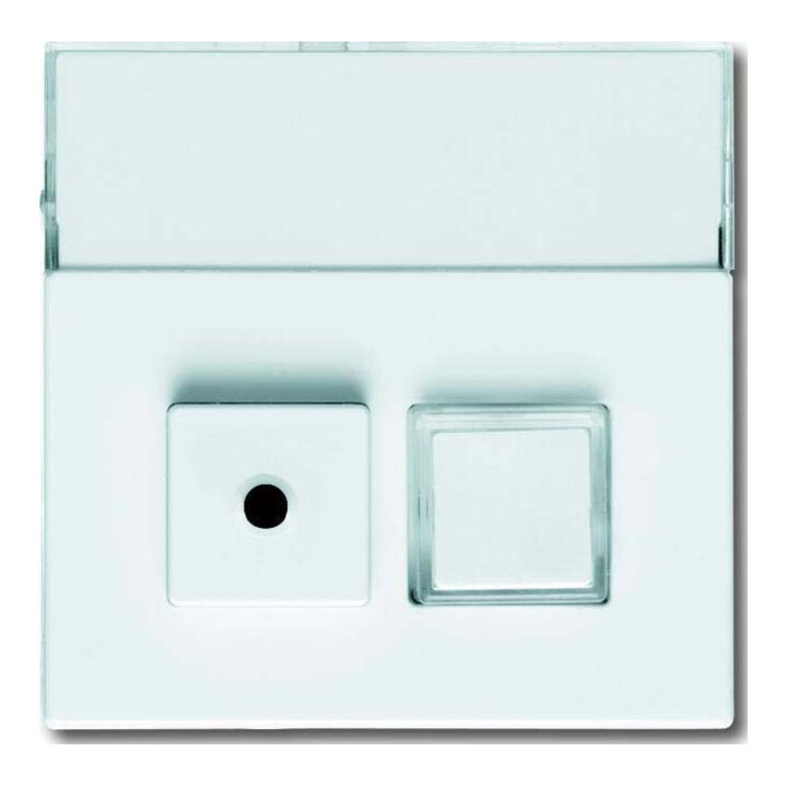 Busch-Jaeger Disque central sws avec champ d’inscription 1572 CN-84