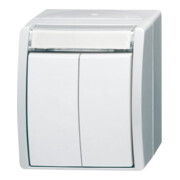 Busch-Jaeger Doppeltaster 2 Schliesser 2621 WN-54-205-101-1