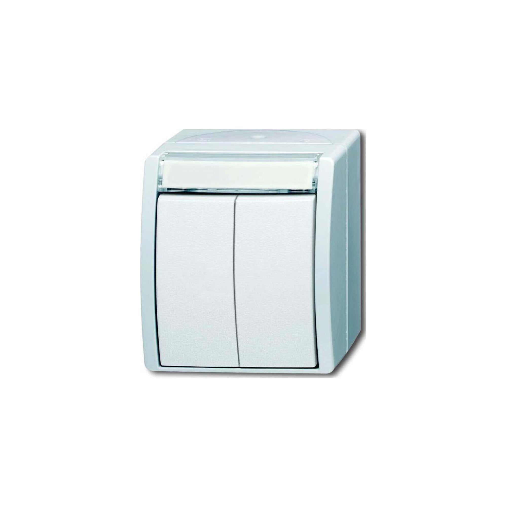 Busch-Jaeger Doppeltaster 2 Schliesser 2621 WN-54-205-101