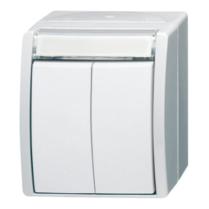 Busch-Jaeger Doppeltaster 2 Schliesser 2621 WN-54-205-101