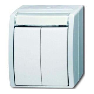 Busch-Jaeger Double bouton-poussoir 2 contacts 2621 WN-54-205-101
