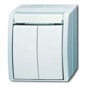 Busch-Jaeger Double bouton-poussoir 2 contacts 2621 WN-54-205-101-1