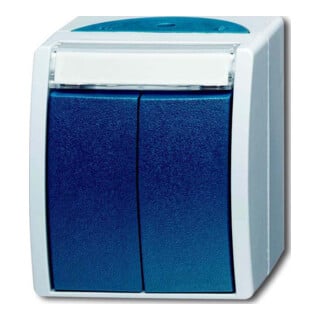 Busch-Jaeger Double bouton-poussoir 2 contacts NF AP 2621 WN-53-205-101