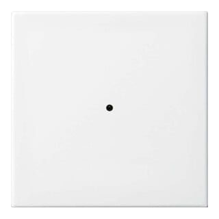 Busch-Jaeger Émetteur mural blanc alpin 6731-914