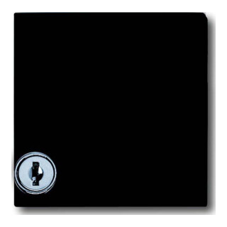 Busch-Jaeger Entretoise anthracite avec couvercle rabattable 2118 GKSL-35