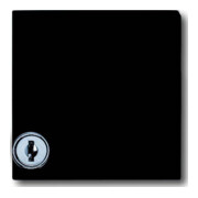 Busch-Jaeger Entretoise anthracite avec couvercle rabattable 2118 GKSL-35-1