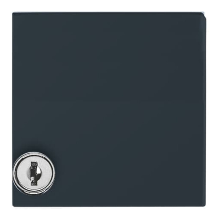 Busch-Jaeger Entretoise anthracite avec couvercle rabattable 2118 GKSL-35