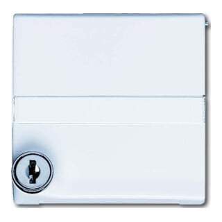 Busch-Jaeger Entretoise aws verrouillable 2118 GKSLN-34