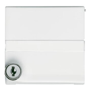 Busch-Jaeger Entretoise aws verrouillable 2118 GKSLN-34-3