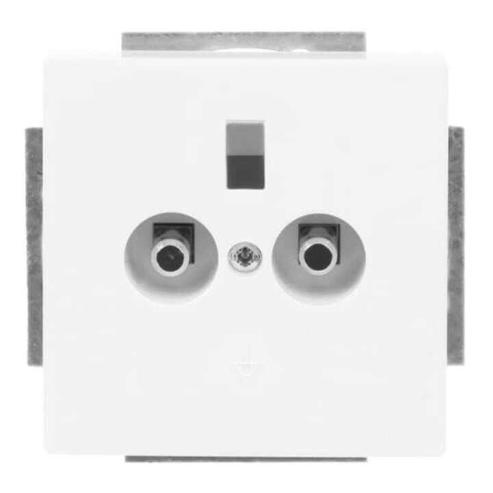 Busch-Jaeger Équilibrage de potentiel dav/sws 2 fois encastré 2095 UC-84