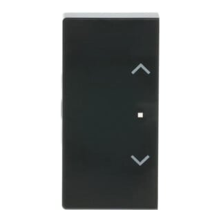 Busch-Jaeger Interrupteur à bascule 2-f gauche Symbole Volet anthracite 6232-20-81