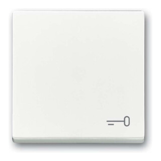 Busch-Jaeger Interrupteur à bascule avec inscription studioweiß 2520 TR-84