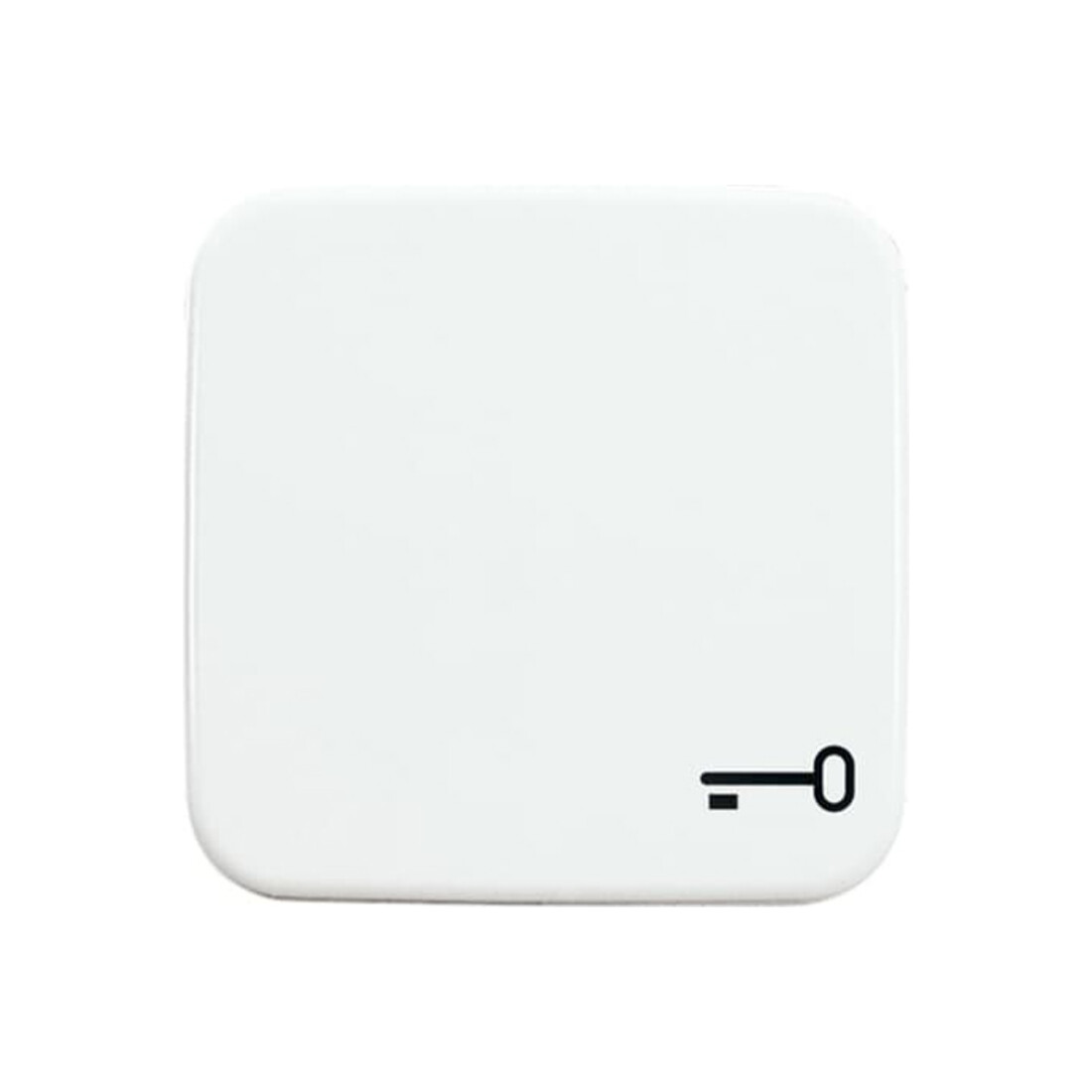 Busch-Jaeger Interrupteur à bascule aws avec symbole clé 2520 TR-214