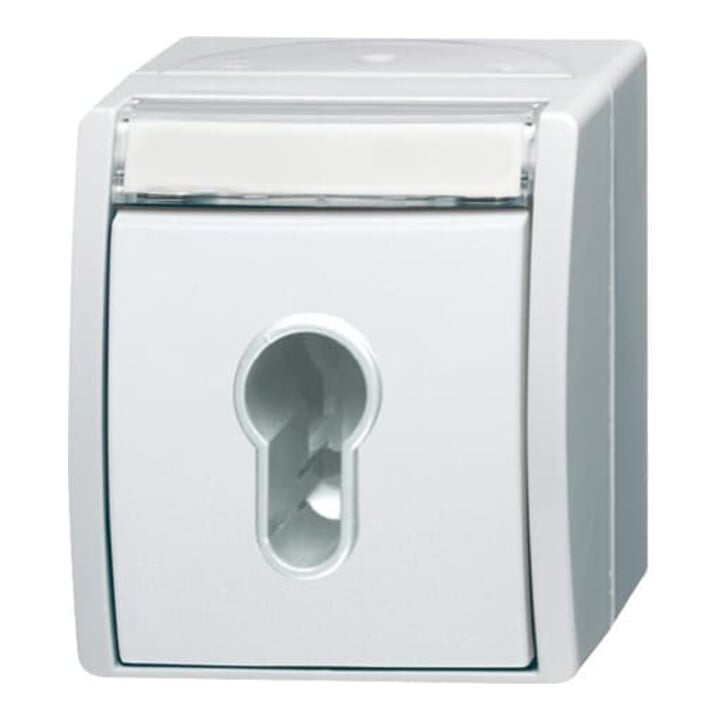 Busch-Jaeger Interrupteur à clé 2733 SLW-54