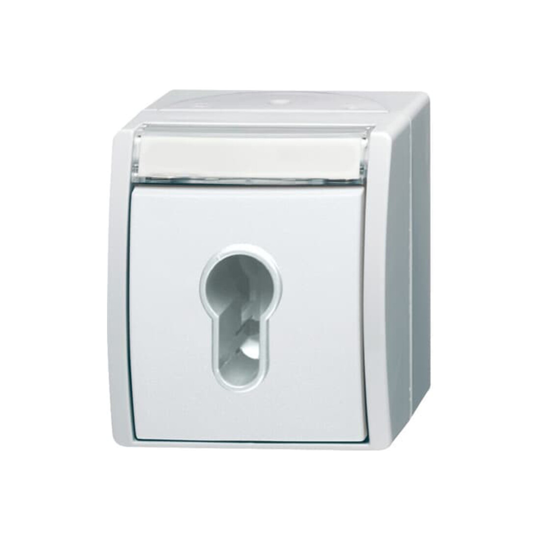 Busch-Jaeger Interrupteur à clé 2733 SLW-54