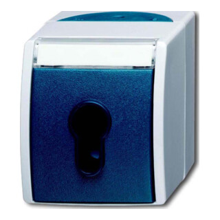 Busch-Jaeger Interrupteur à clé AP 2733 SLW-53