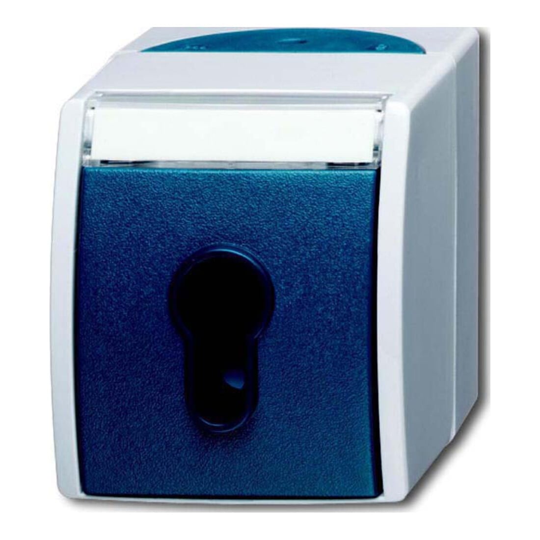 Busch-Jaeger Interrupteur à clé AP 2733 SLW-53